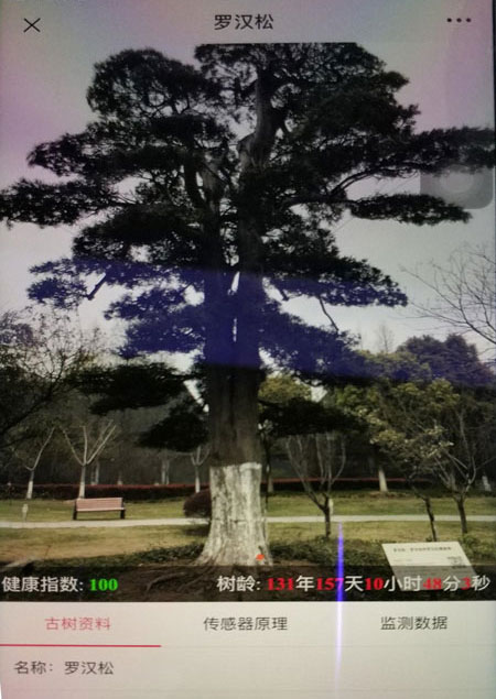 基于物聯(lián)網(wǎng)技術(shù)的古樹名木保護 監(jiān)測系統(tǒng)投入... 